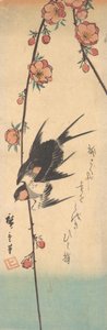 Pæreblomster og svaler, ca. 1840., ca. 1840. av Ando Hiroshige