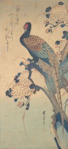 Fasan med krysantemum, ca. 1835., ca. 1835. av Ando Hiroshige