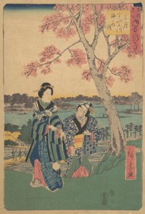 Plommeblomstervisning i den tredje måneden ved Sumida-elven fra serien Annual Events at F..., 1854. av Ando Hiroshige