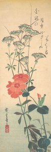Superb Pinks og Chinese Agrimony, ca. 1836., ca. 1836. av Ando Hiroshige