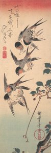 Svaler og spirende villkirsebær, ca. 1835., ca. 1835. av Ando Hiroshige