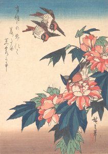 Svaler og Kingfisher med rosemallows, ca. 1838., ca. 1838. av Ando Hiroshige