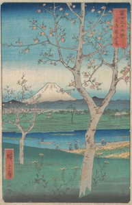 Utsikt over Fuji-fjellet fra Koshigaya, Musashi Musashi-provinsen, Kos..., 4. måned, hesteår 1858.