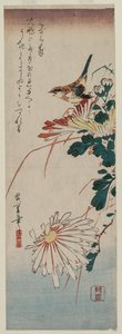 Sanger og krysantemum, midten av 1830-årene. av Ando Hiroshige