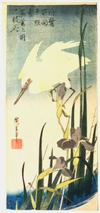 White Heron and Irises, 1833 av Ando Hiroshige