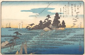 Wild Geese at Haneda, 19th century.    1189206   no       norwegian Successfully Translated  Original: Tolumnia guttata orchid Translat: Tolumnia guttata orchid 1399334 no norwegian Successfully Translated Original: Miss Van Alen Translat: Miss Van Alen 12 av Ando Hiroshige