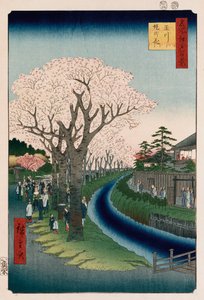 "Cherry Blossoms, Tama River Embankment" av Ando or Utagawa Hiroshige