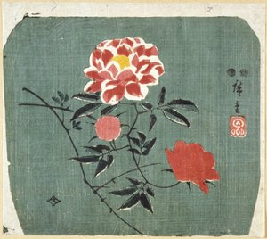 Viftetrykk: Rose av Ando or Utagawa Hiroshige