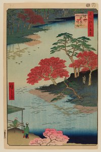  av Ando or Utagawa Hiroshige