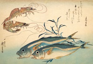 Japansk hestemakrell og japansk tigerreke (farget treblokktrykk) av Ando or Utagawa Hiroshige