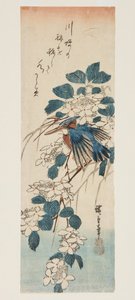 Kingfisher og Viburnum (farget treblokktrykk) av Ando or Utagawa Hiroshige