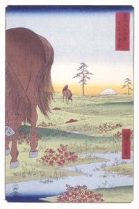 Kogane Plain In Shim?sa-provinsen (Shim?sa Koganegahara) (farget treblokktrykk) av Ando or Utagawa Hiroshige