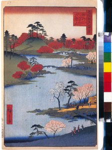 Le jardin du temple Hachiman a Fukagawa (cent vues celebres de Edo) - Oeuvre de Utagawa Hiroshige (1797-1858), estampe japonaise, vers 1858 - (Åpen hage ved Hachiman-helligdommen i Fukagawa (Hundre kjente fargeutsikter over Edo), tresnitt av Hiroshige, ca av Ando or Utagawa Hiroshige