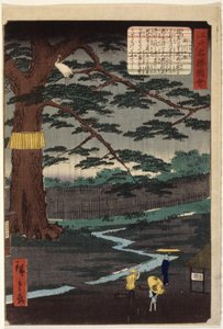 Miyuki Pine (farget treblokktrykk) av Ando or Utagawa Hiroshige