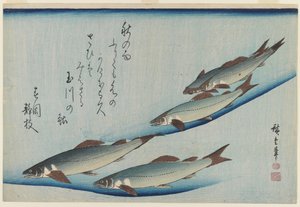 School of Five Sea Trout, Edo Period (farget treblokktrykk på papir) av Ando or Utagawa Hiroshige