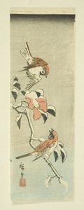 Sparrows and Camellia in Snow (farget treblokktrykk) av Ando or Utagawa Hiroshige