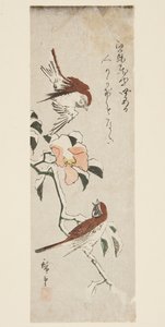 Sparrows and Camellia in Snow (farget treblokktrykk) av Ando or Utagawa Hiroshige