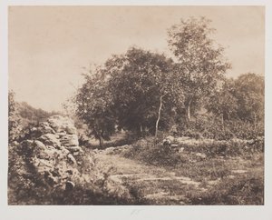 Uten tittel (Scene av Fontainebleau)