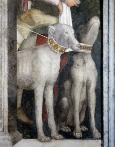 Molossiske hunder, detalj fra Meeting Wall av Andrea Mantegna
