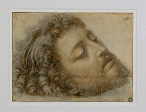  av Andrea Solario