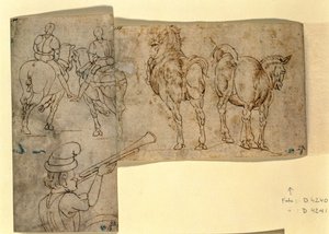 Inv nr.38 recto Sketch of Horses, ca. 1460-70 (penn og blekk) av Andrea Verrocchio