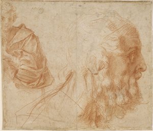 En ungdom og hodet til en gammel mann Homer. Studie, ca 1521 av Andrea del Sarto