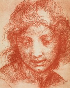 Guttehode av Andrea del Sarto