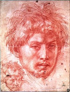 Head of a Man (rødt kritt på papir) av Andrea del Sarto