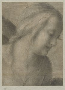 Hodet til Maria, i en tilbedelse av Andrea del Sarto