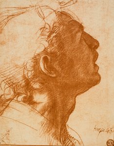 Mannlig hode av Andrea del Sarto