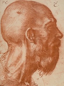 Manns hode i profil av Andrea del Sarto