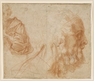 Studieark med en ung mann og hodet av en gammel mann vendt mot høyre (Homer?) av Andrea del Sarto