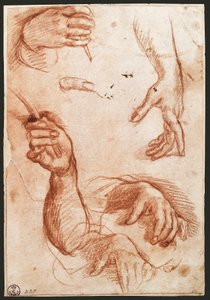"Studie av hender" tegnekull (kull) av Andrea del Sarto