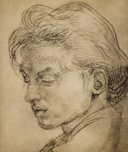 Virilt hode i profil av Andrea del Sarto