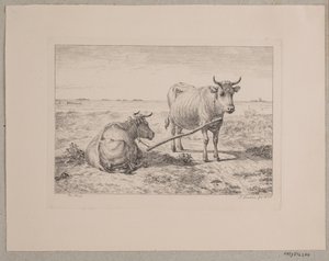 To koblede køer av Andreas Peter Madsen