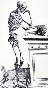 Menneskeskjelett med hodeskalle i hånden. Fra "De Humani Corporis Fabrica" av Vesalius. Mulig vedhogger: Jan von Calcar