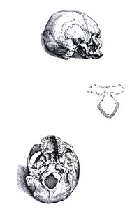 Platene fra den første boken til De Humani Corporis Fabrica av Andreas Vesalius