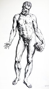 Platene fra den syvende boken til De Humani Corporis Fabrica