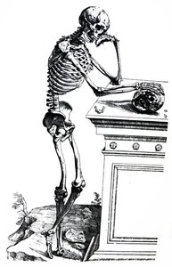 Platene fra den syvende boken til De Humani Corporis Fabrica av Andreas Vesalius