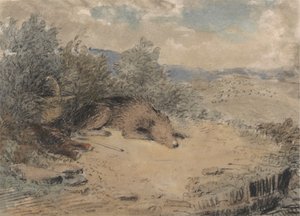 Sheepdog sover i et landskap