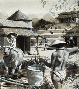  av Andrew Howat