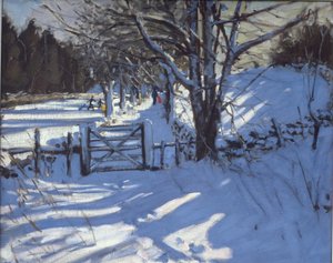 Gate nær Youlgreave, Derbyshire av Andrew Macara