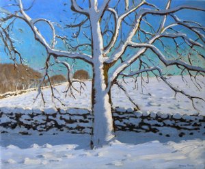 Snow Covered Tree, 2011 (olje på lerret) av Andrew Macara