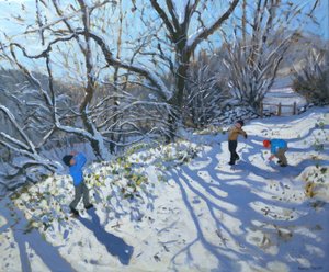 Snøballkamp, 2007 av Andrew Macara