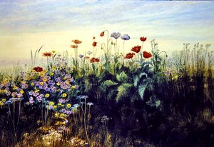 Ville blomster (akvarell på papir)