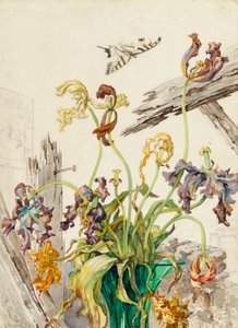 Tulipaner av Andrey Avinoff