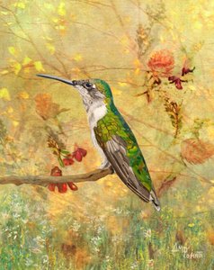 Gullkolibri-sitteplass av Angeles M. Pomata