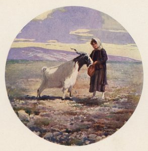 Geitegjerde, Attika, Hellas (farge litho)