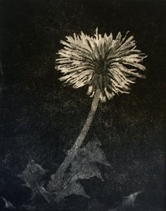 Hope, 2019 (etsing og akvatint på papir) av angus hampel