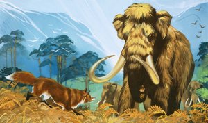 Rev angriper mammut